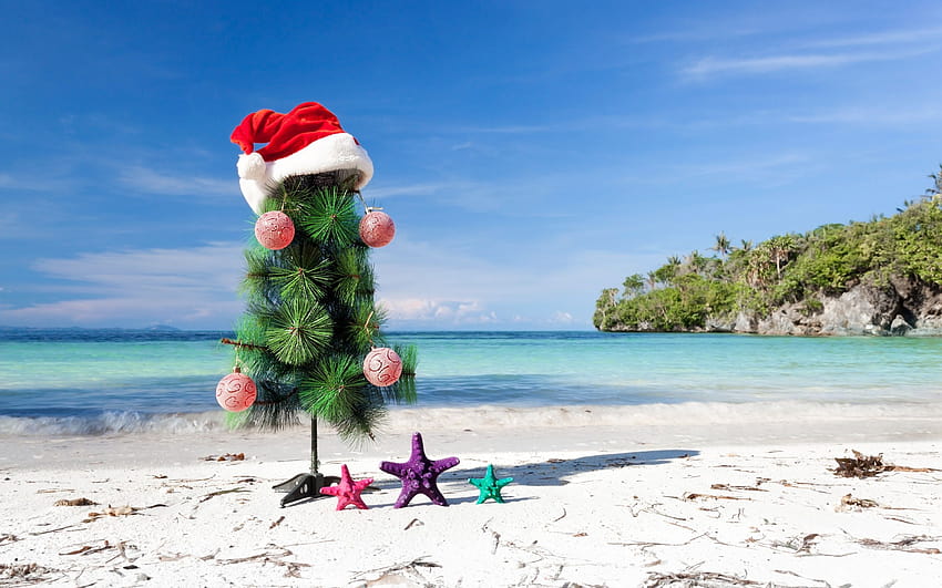 Christmas tree, beach, sand, tropical island, New Year, Christmas, sea with resolution 2560x1600. High Quality, christmas beach tree HD wallpaper