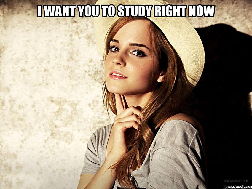 Tienes que estudiar ahora mismo, memes de hermione fondo de pantalla