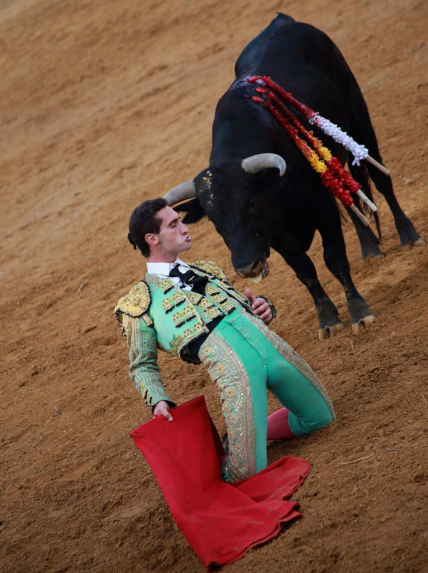 Pin on Torero, spanish style bullfighting HD phone wallpaper