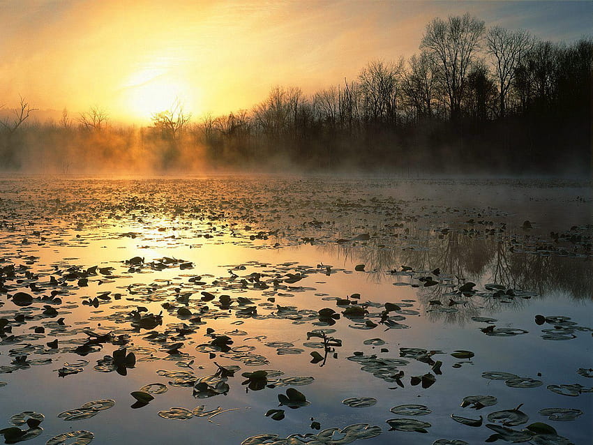 자연: Cuyahoga Valley National Recreation Area At Sunrise, Ohio, 쿠야호가 밸리 국립공원 HD 월페이퍼