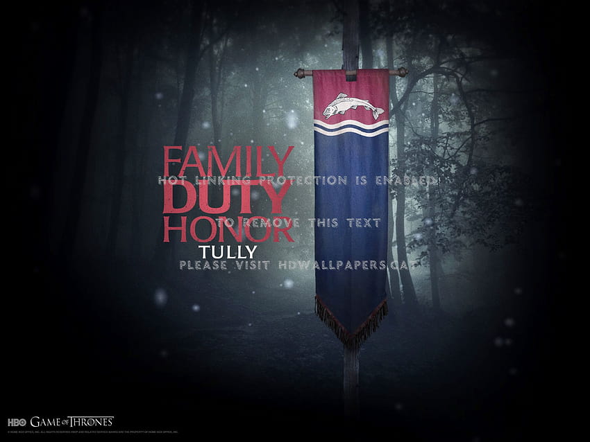 Best 3 House Tully on Hip HD wallpaper | Pxfuel