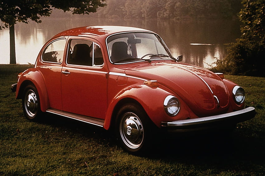 Volkswagen Beetle beetle and backgrounds [1800x1200] for your , Mobile & Tablet, vocho HD wallpaper