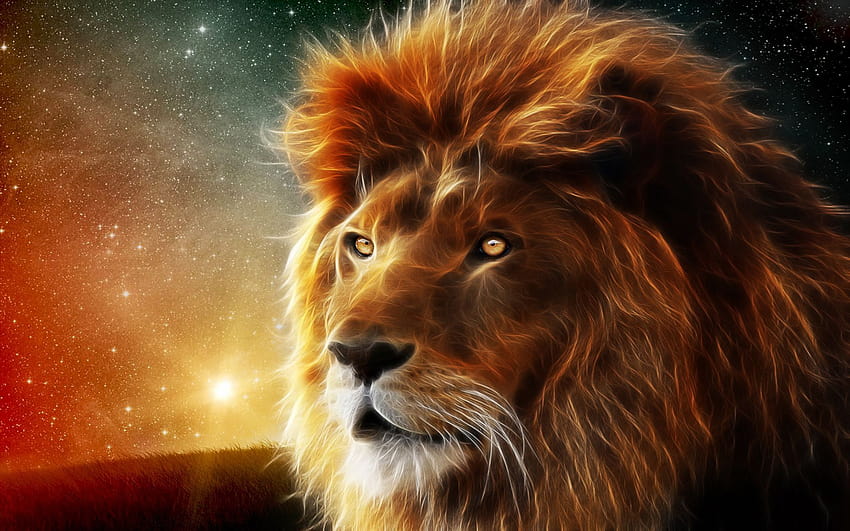 Lions, lion of the tribe of judah HD wallpaper