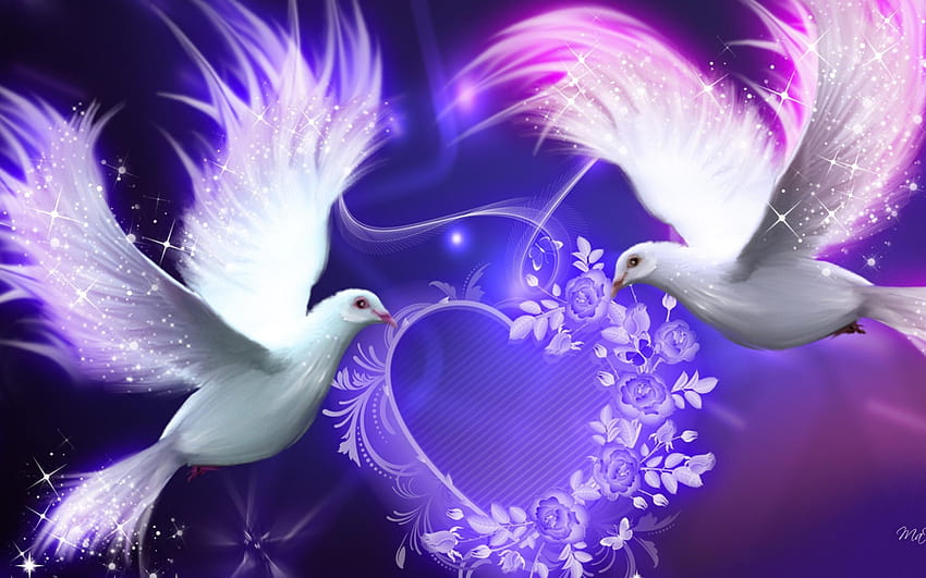 4 Love Birds , Quality Love Birds , Love Birds, beautiful of love HD wallpaper
