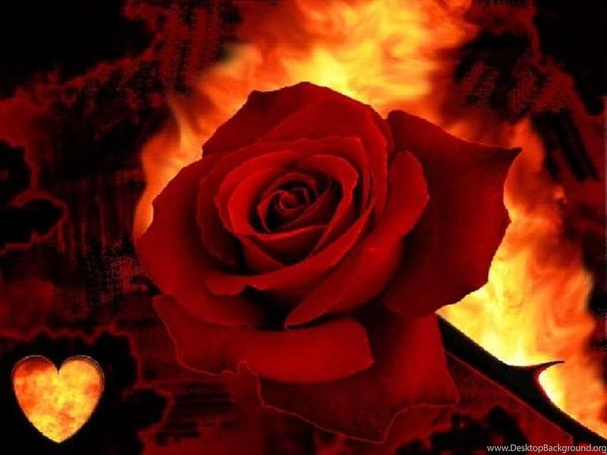 7 Red Rose Heart Fire Nature Flowers Backgrounds HD wallpaper