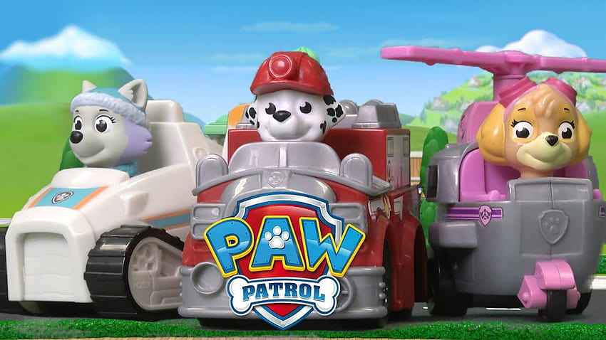 PAW Patrol Racers Marshall, Skye & Everest from Spin Master, paw patrol marshall HD wallpaper