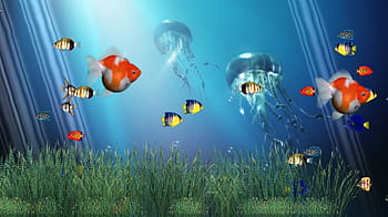moving fish wallpapers
