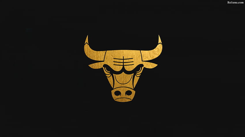 Chicago Bulls-Logo HD-Hintergrundbild