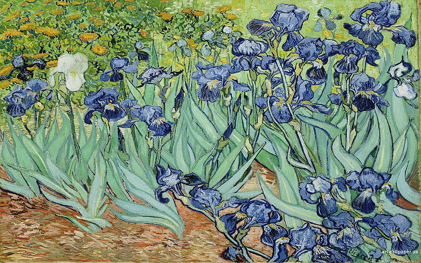 Van Gogh Irises HD wallpaper