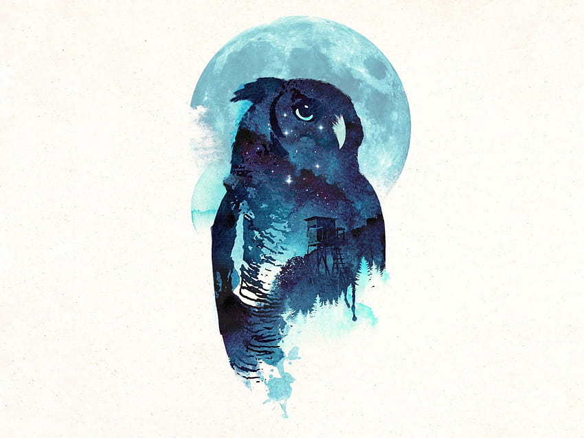 Owl, Midnight, Robert Farkas • For You, blue owl HD wallpaper