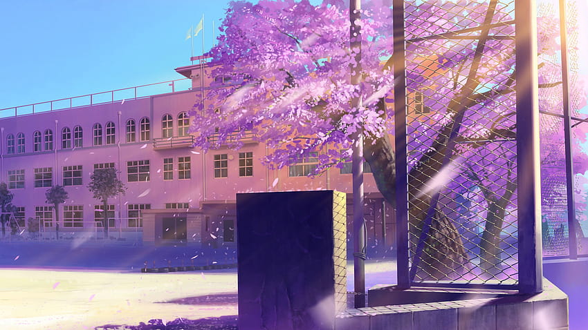 Anime Cherry Blossom, purple aesthetic anime HD wallpaper
