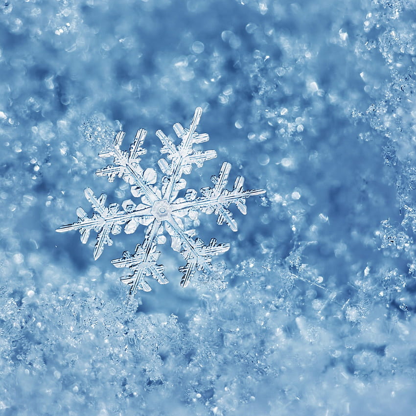 완벽한 눈송이 추위와 얼음, 얼음처럼 차가운 HD 전화 배경 화면