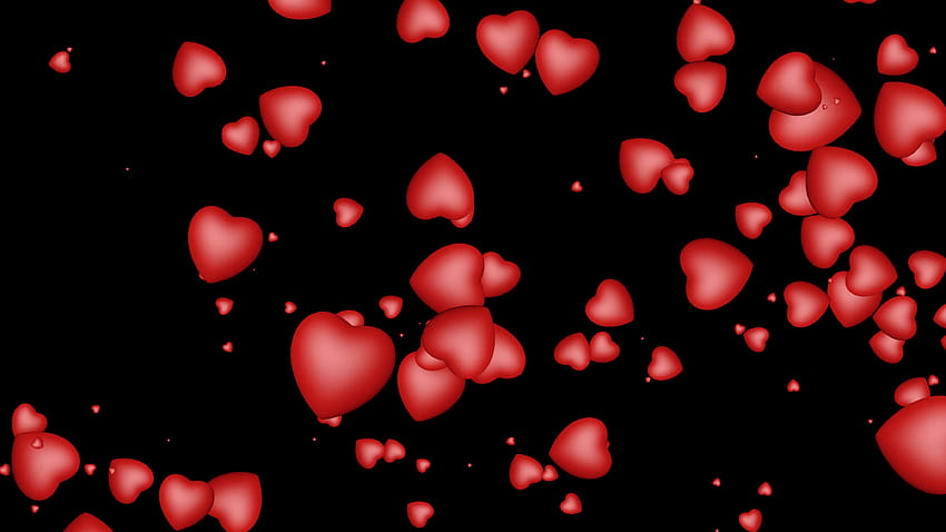 3D червени сърца, летящи над черни фонове, безпроблемно зацикляне, червени сърца, черен фон HD тапет