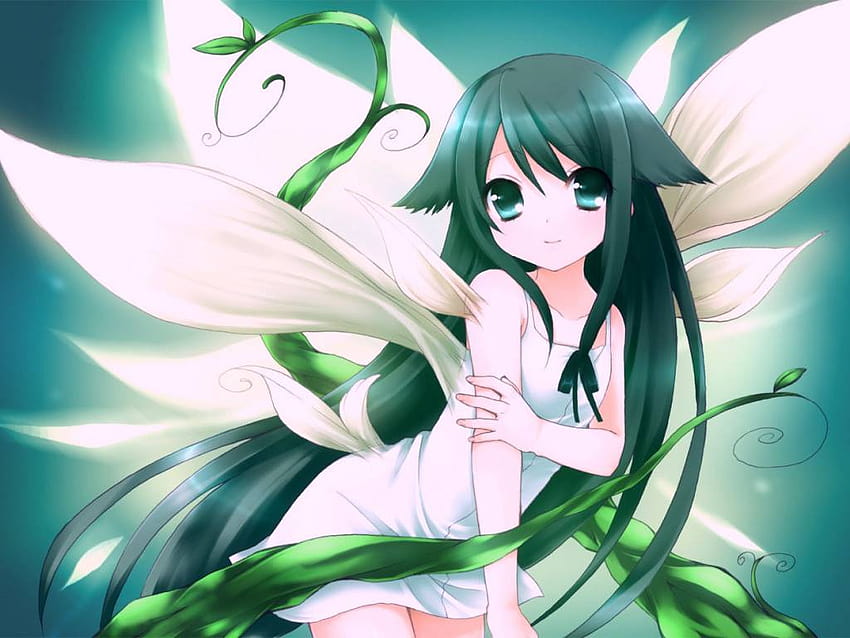 fairy anime | Anime, Anime fairy, Fairy-demhanvico.com.vn