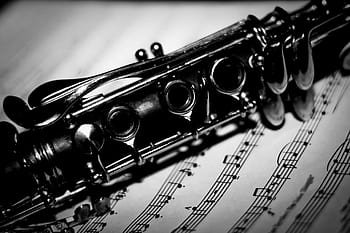 Clarinet Photos Download The BEST Free Clarinet Stock Photos  HD Images