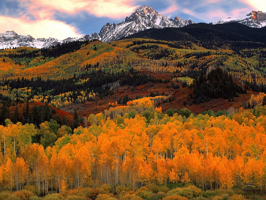 2560x1920 Hilly Autumn Forest & Mountain PC and Mac, mountain autumn pc HD wallpaper