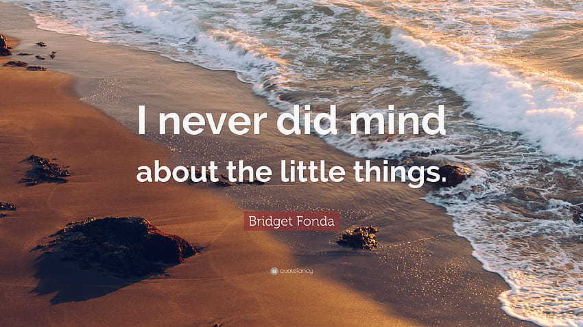 Цитат на Бриджит Фонда: „Никога не съм имала нищо против малките неща.“ HD тапет