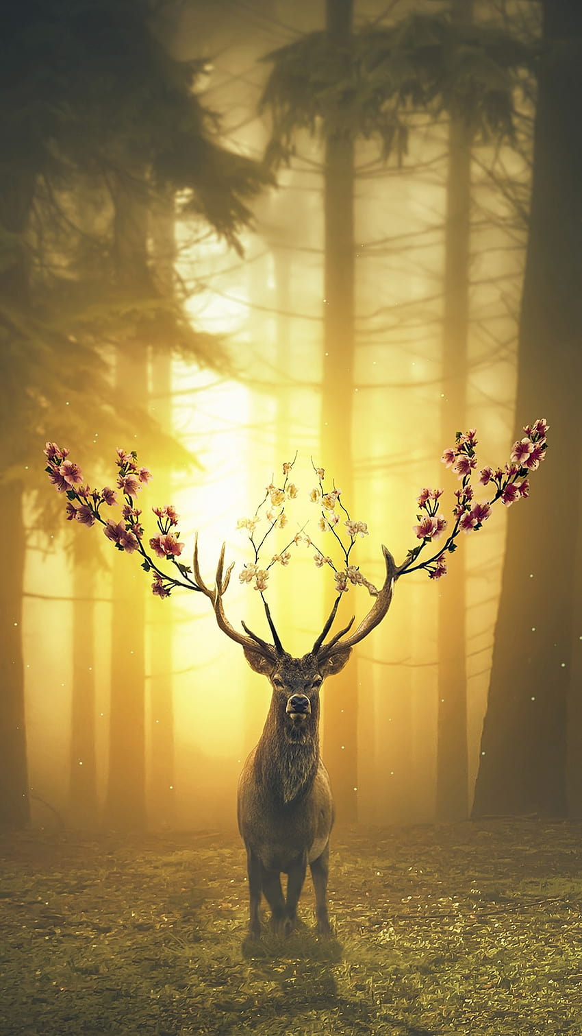Download wallpaper 800x1420 deer silhouette horns night iphone  se5s5c5 for parallax hd background