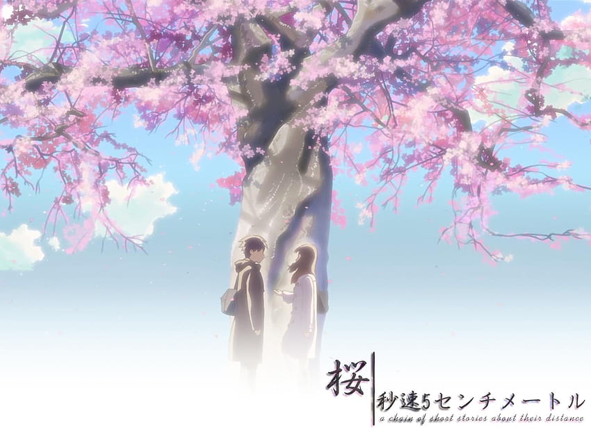 ANIME THEORY: A Dark Decoding of 5cm Per Second – Ahotaku39, anime cherry blossom couple HD wallpaper