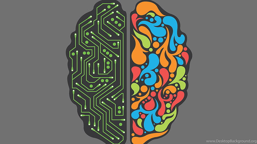 The Two Sides Of The Brain Vector Backgrounds HD wallpaper