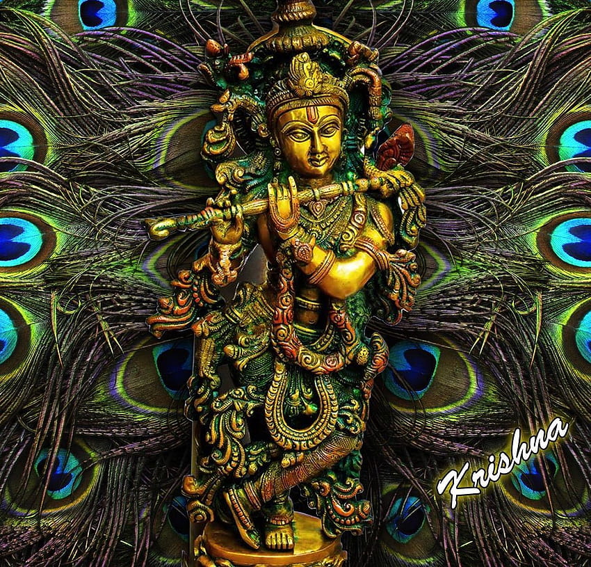 Lord Krishna Pfauenfeder mit Flöte, Flöte und Pfauenfeder HD-Hintergrundbild