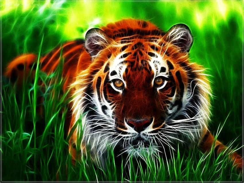 3D Tiger, tigers HD wallpaper