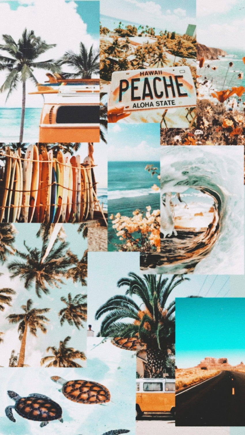 Free download 50 Summer Mood Board Wallpapers Peachy Summer Collage 1 Fab  567x1019 for your Desktop Mobile  Tablet  Explore 50 Summer Aesthetic  Wallpapers 