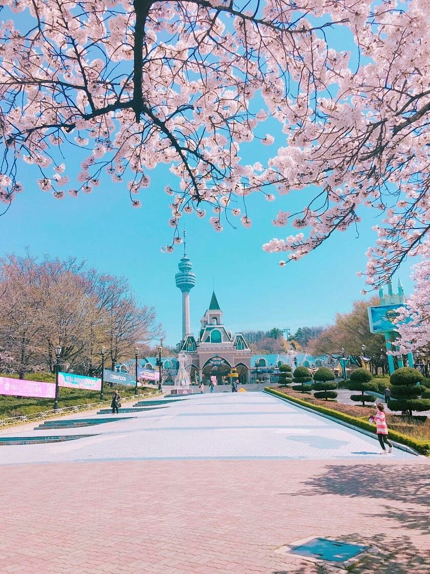 Corea del Sud, parchi della Corea Sfondo del telefono HD