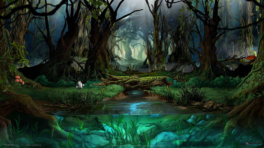 Sumpf, Feuchtgebiet HD-Hintergrundbild