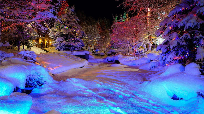 คริสต์มาส สีสันฤดูหนาว หิมะ ธรรมชาติ คืน ไฟวิเศษ ต้นไม้ฤดูหนาวหลากสีสัน วอลล์เปเปอร์ HD