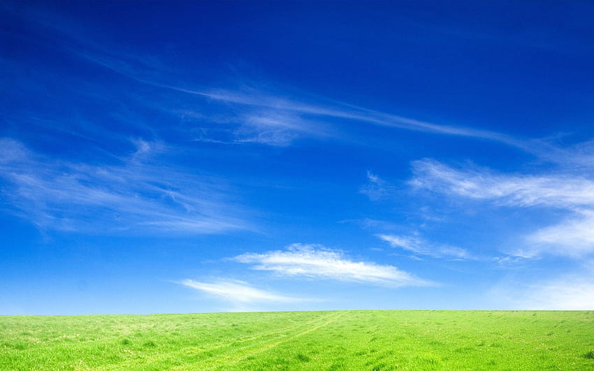Langit dan Rumput, tanah rumput Wallpaper HD