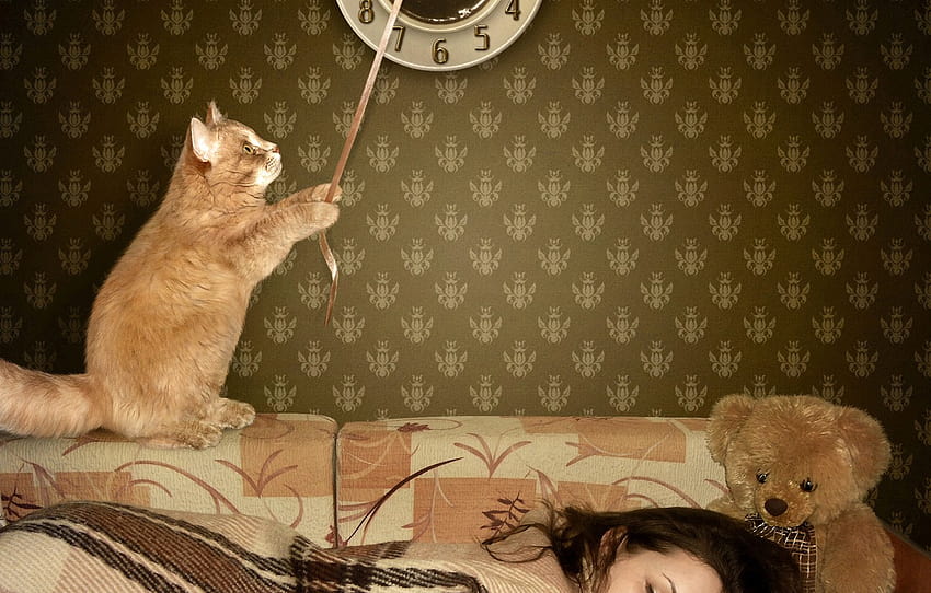 cat, girl, watch, bear, sleeping, bear, cat, clock, sleeps, Teddy , section ситуации, teddy bear cat HD wallpaper