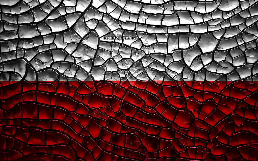 Flag of Poland, cracked soil, Europe, polish flag HD wallpaper