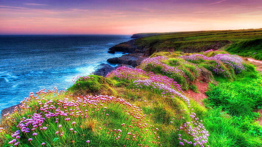6 Ireland in Spring Landscape, northern ireland landscape HD wallpaper