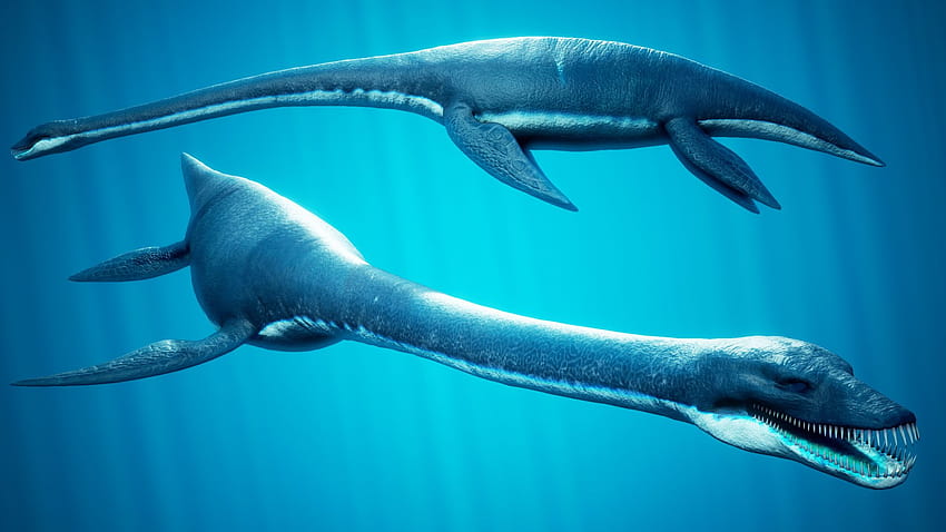 Ocean Plesiosaur Elasmosaurus HD wallpaper | Pxfuel