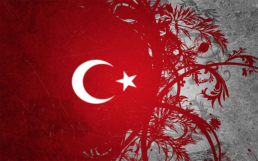 Bandeira turca preto e branco, bandeira da turquia papel de parede HD