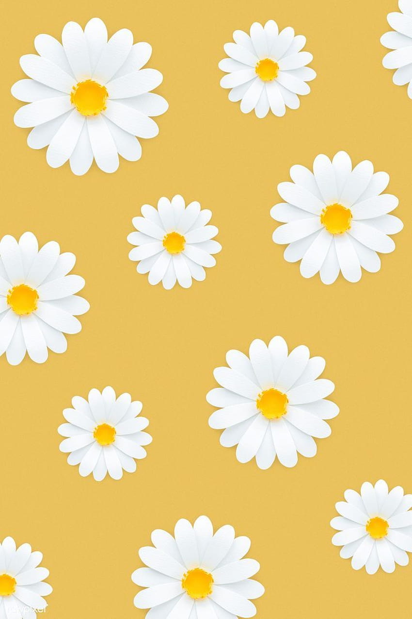 psd premium pola bunga aster putih dengan latar belakang kuning 1202497, pola kuning cerah wallpaper ponsel HD