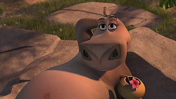 https://e1.pxfuel.com/desktop-wallpaper/436/903/desktop-wallpaper-gloria-hippo-madagascar-2-moto-thumbnail.jpg