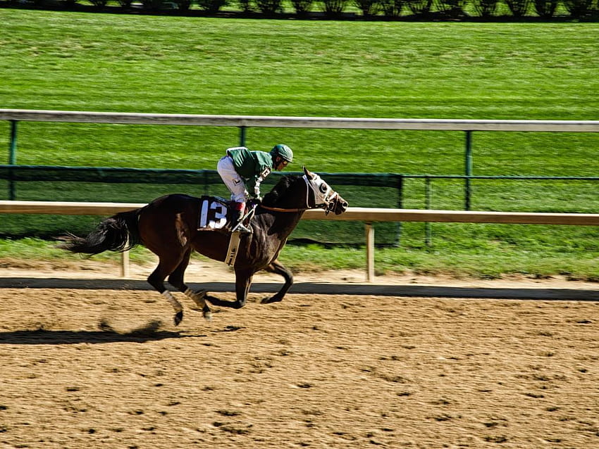 Kentucky Derby Preview: Can Pletcher's Audible Or Magnum Moon Bring ...