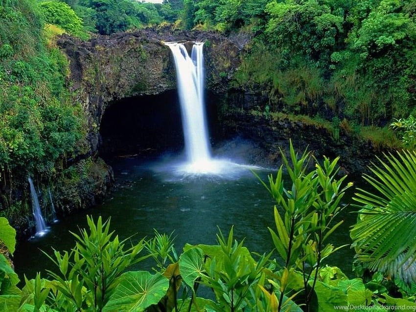 Rainbow Tropical Rainforest Waterfalls Backgro, cascada de la selva tropical fondo de pantalla