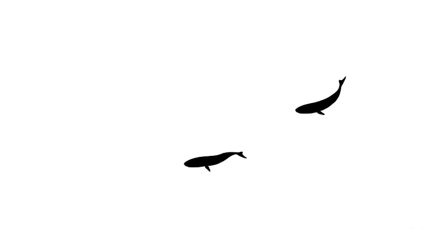 minimalistyczne wieloryby xkcd 1920x1080 Wysoka jakość, wysoka rozdzielczość Tapeta HD