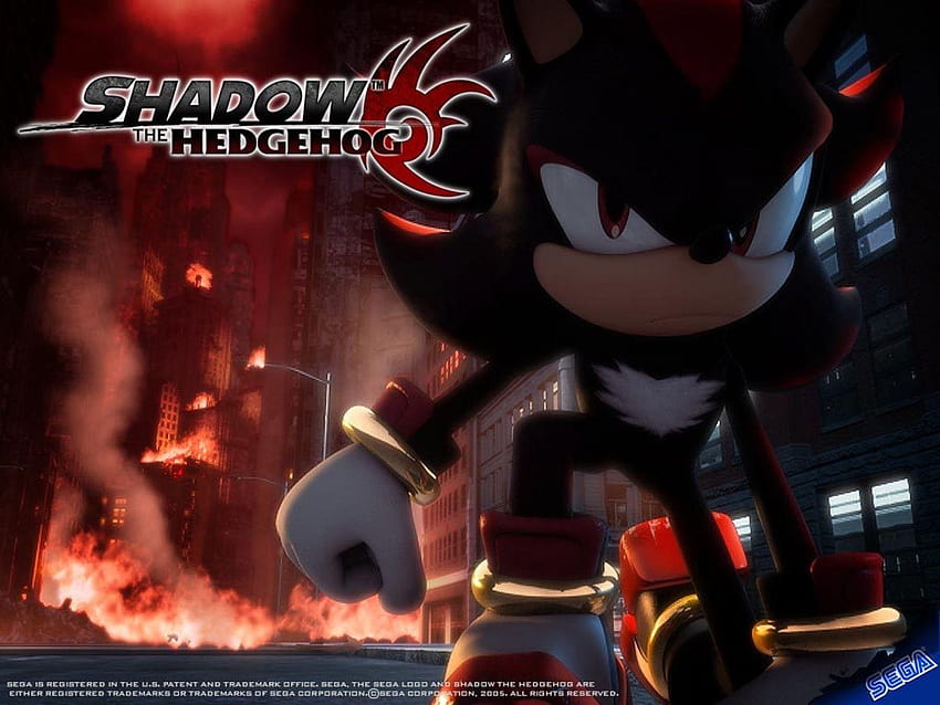 Sonic hedgehog, sonic the hedgehog movie HD wallpaper | Pxfuel