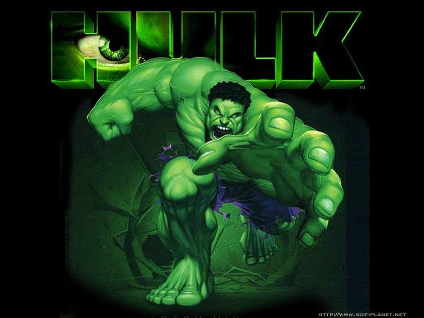 Angry Hulk 1024x768 พิกเซลยอดนิยม 27552, Hulk 2003 วอลล์เปเปอร์ HD