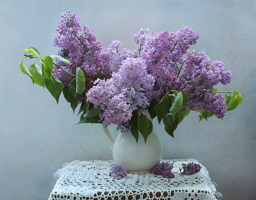 Tablecloth bouquet Lilac flower Vase HD wallpaper