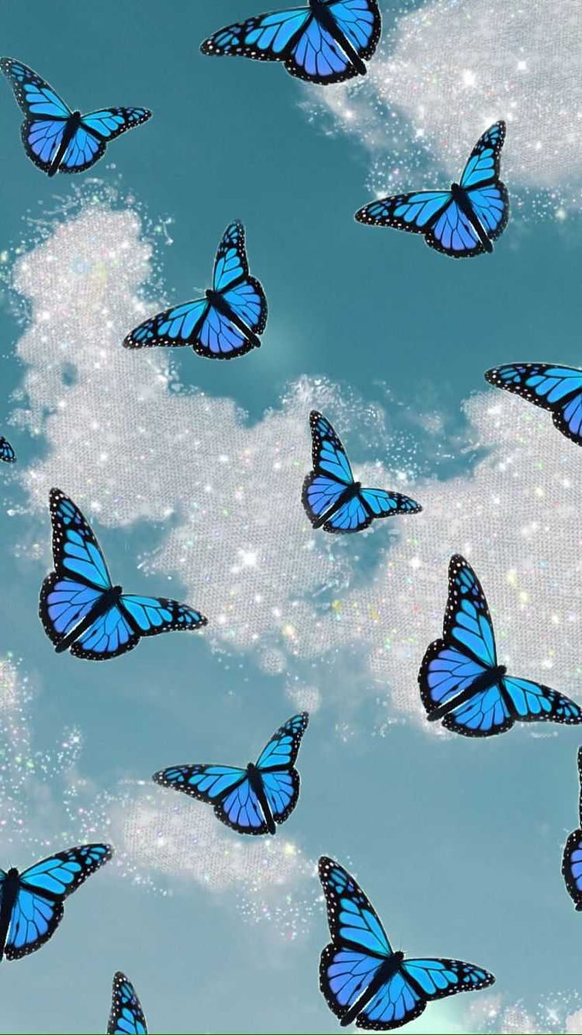 Синя пеперуда, пеперудата HD тапет за телефон