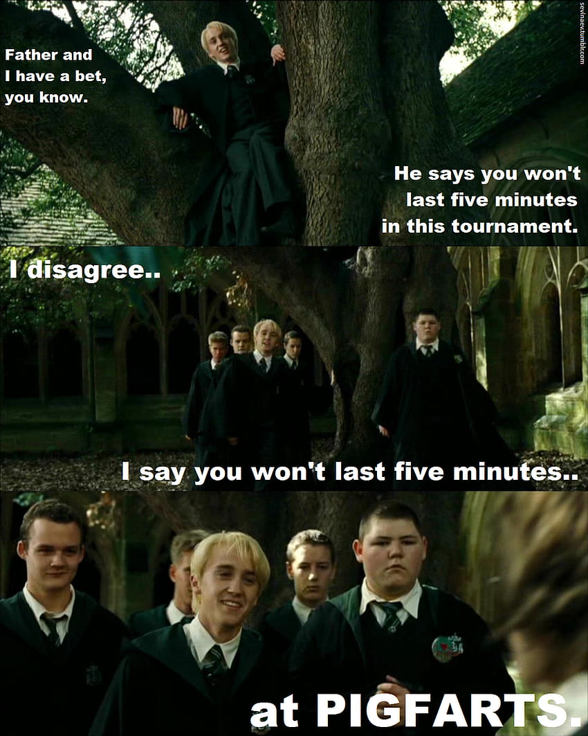 Funny Of Harry Potter Vs Twilight, harry potter meme HD phone wallpaper |  Pxfuel