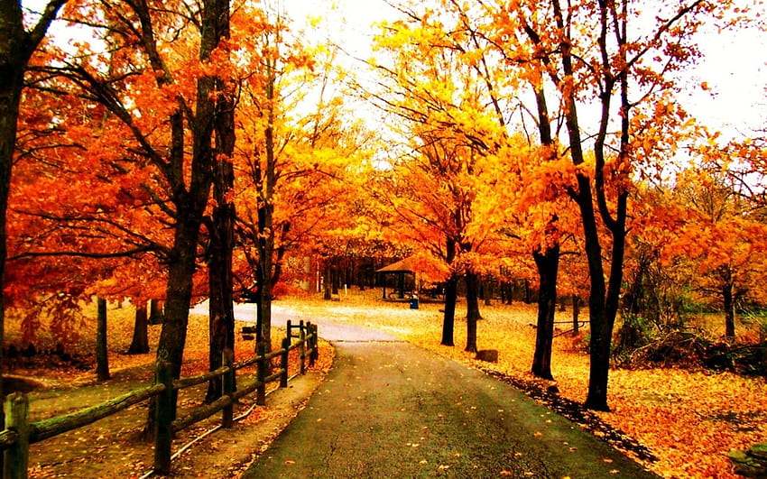 jatuh, kekaguman musim gugur Wallpaper HD