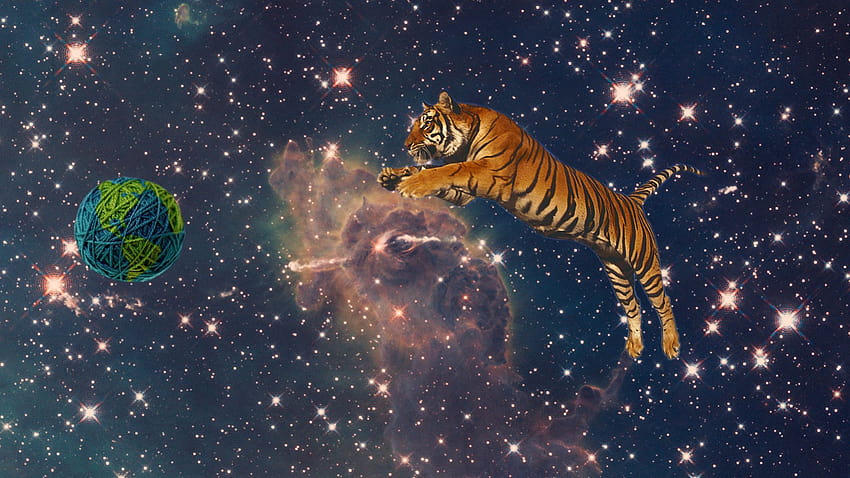 Space Tiger HD wallpaper