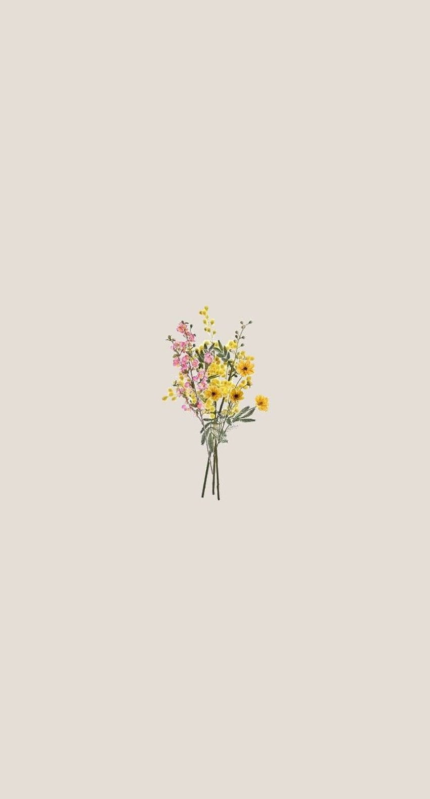 30 minimalista para iPhone., flor de primavera minimalista Papel de parede de celular HD