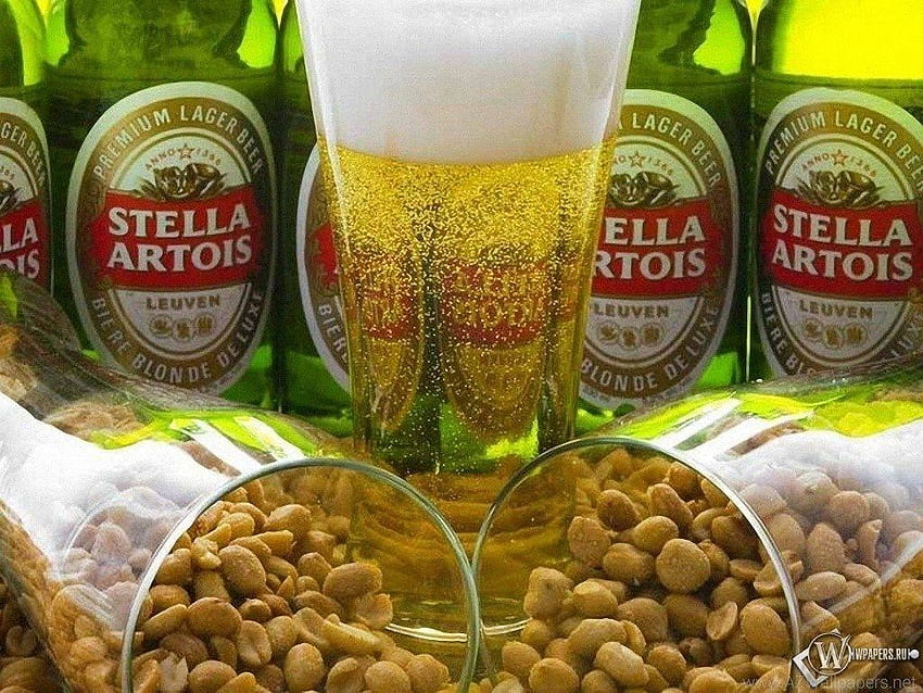 Top Stella Artois-Hintergründe HD-Hintergrundbild
